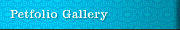 Petfolio Gallery